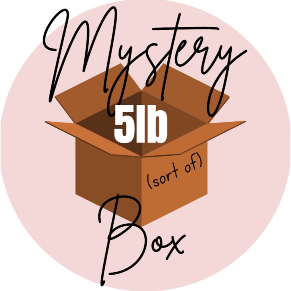 MYSTERY BOX (sort of) Womens Size SMALL 4-6 - 5LB CLOTHING Mixed Lot 2505 Loft
